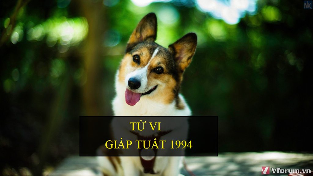 Tử Vi Giáp Tuất 1994